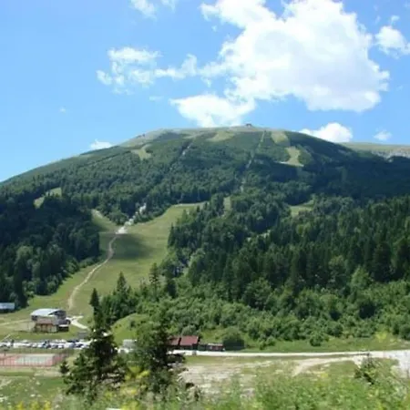 Panorama View *